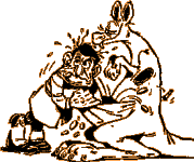 Kangourou de Gotlib