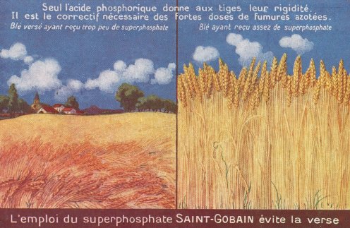 Superphosphate Saint-Gobain