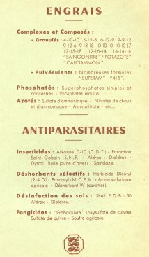 Culture de la pomme de terre